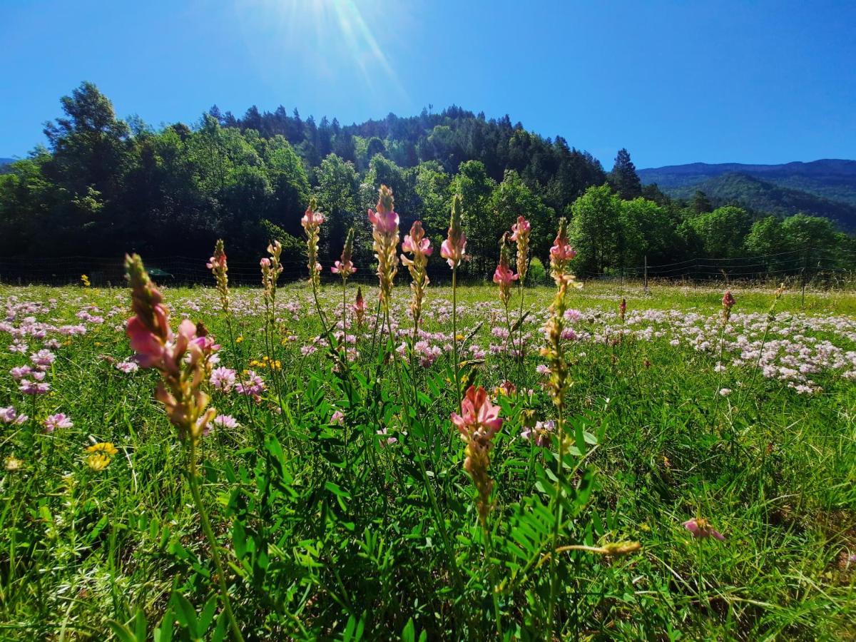 La Bergerie A Menee Ξενοδοχείο Châtillon-en-Diois Εξωτερικό φωτογραφία
